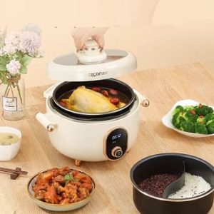 Multi-functional pressure cooker
